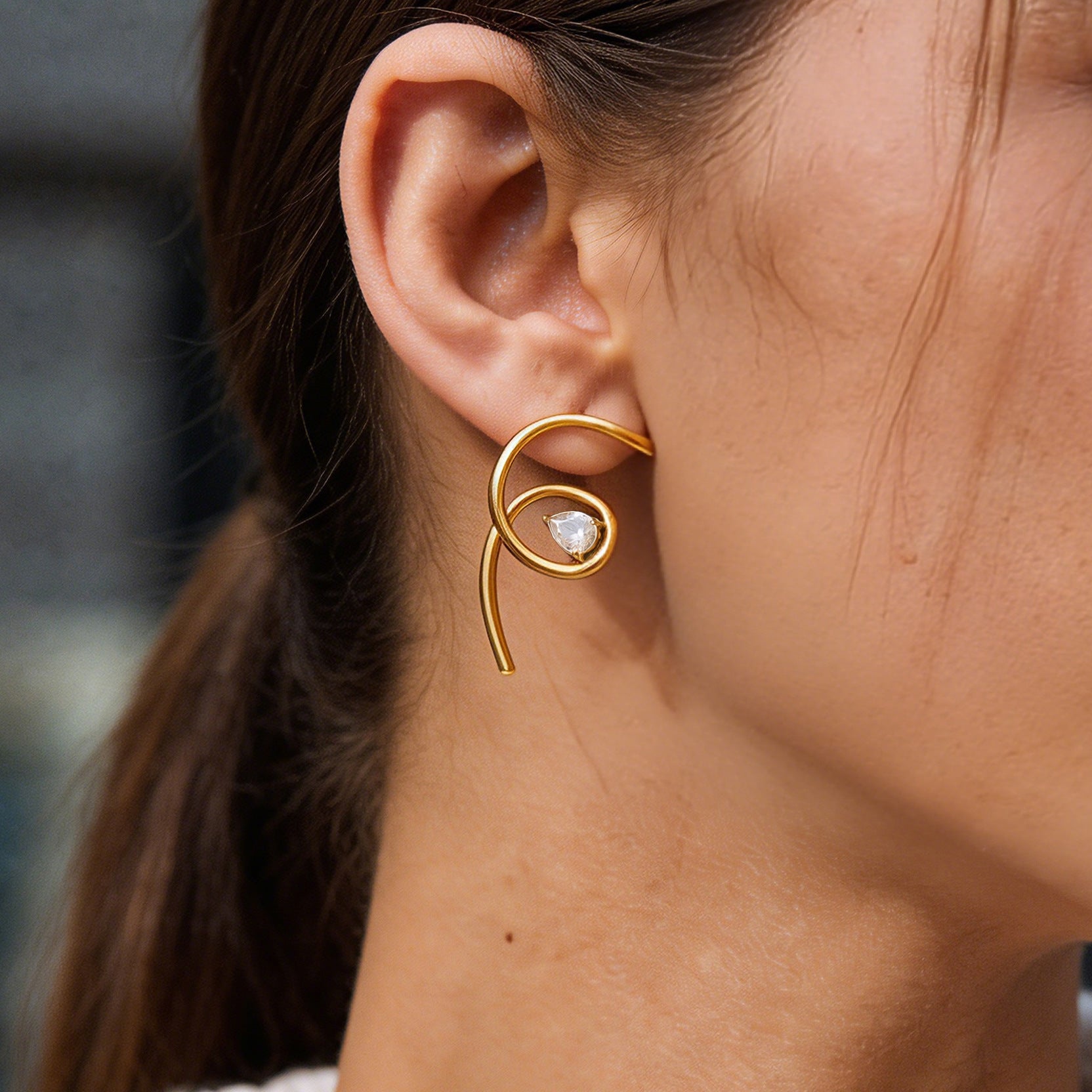 Earrings