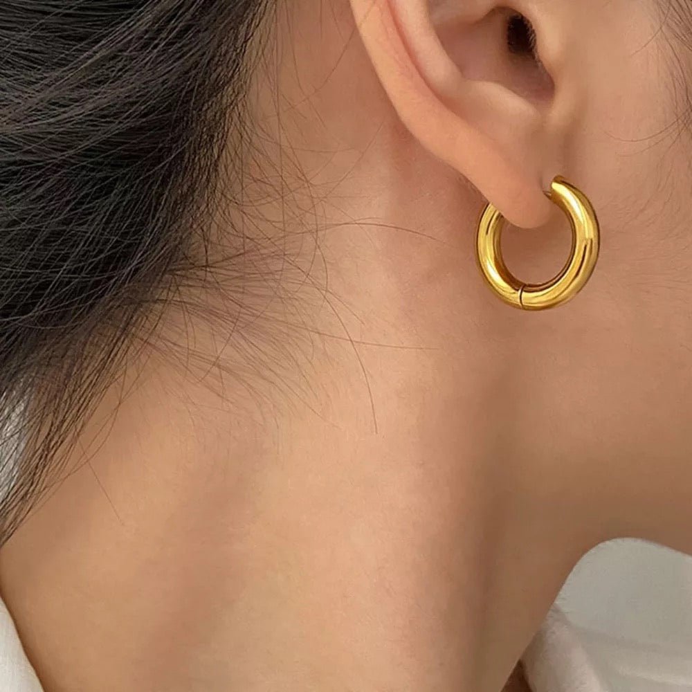 #Waterproof Gold Plated Jewelry In Pakistan#Earring - TheDaizyStore